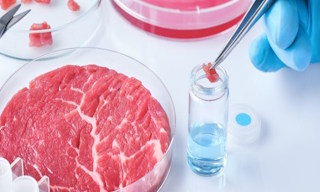 Лабораторный анализ пищевых продуктов по СанПиН в Отрадном в октябре