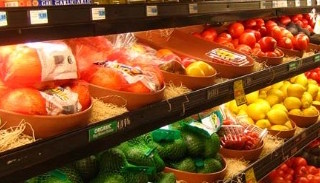 Сертификация пищевой продукции в Отрадном – цена от 10870 руб. | ПромМир
